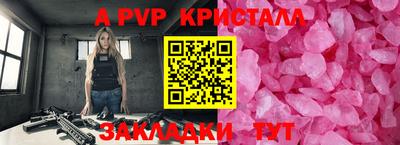 стаф Донской