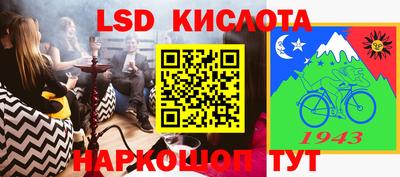 стаф Донской