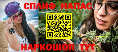 стаф Донской