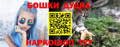 стаф Донской