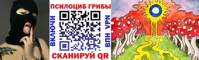 Псилоцибиновые грибы Psilocybine cubensis  где купить наркотик  Саяногорск 
