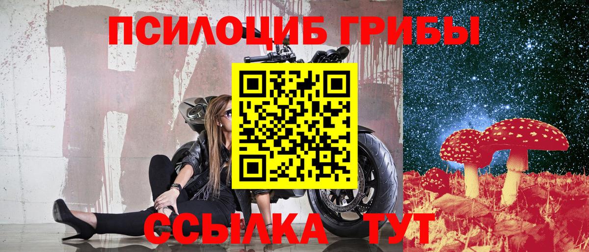 Галлюциногенные грибы мухоморы Саяногорск
