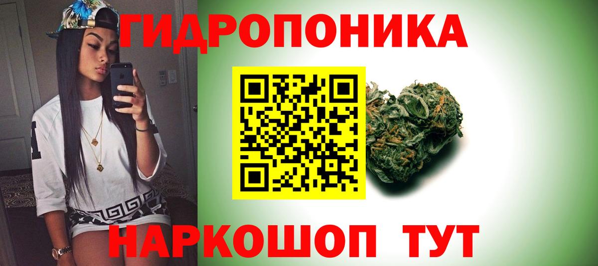 Марихуана марихуана  Бошки марихуана конопля  Саяногорск  Канабис OG Kush  Вход с VPN 